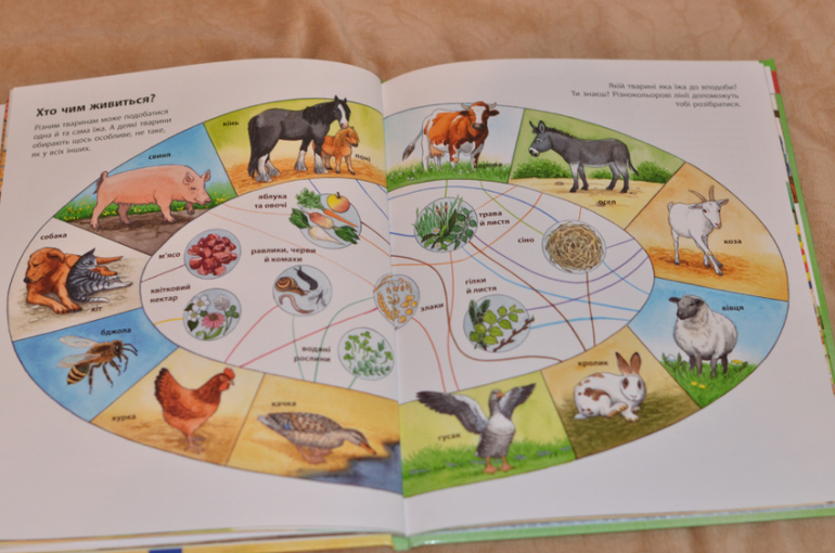 Бюджетные смотрелки от Ранка