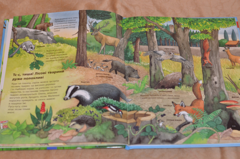 Бюджетные смотрелки от Ранка