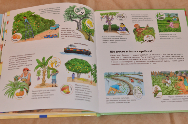 Бюджетные смотрелки от Ранка