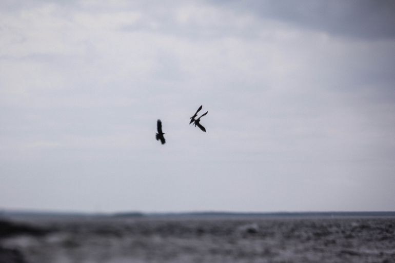 Фото-зарисовки