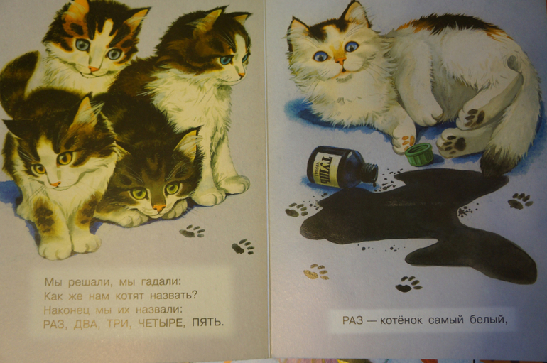 Наши книжки на 8 - 12 мес. - картонная часть