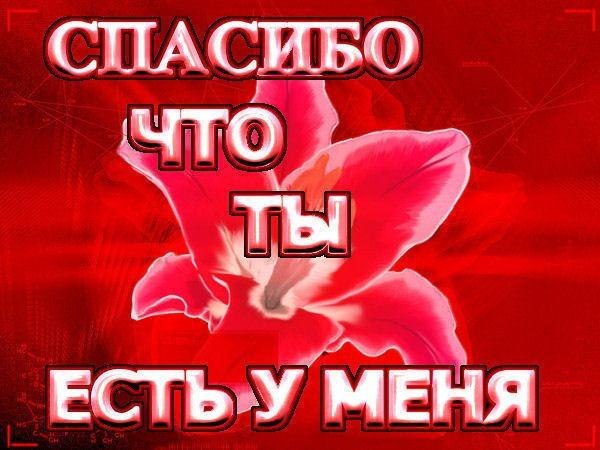 99a2672a625a470dc35f38e641463c9b.jpg