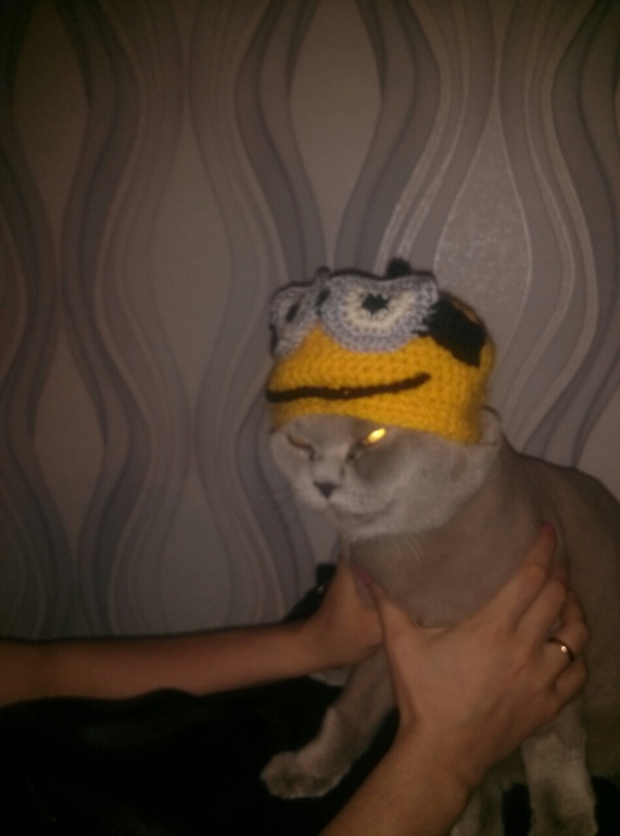 и снова шапочка приманка))