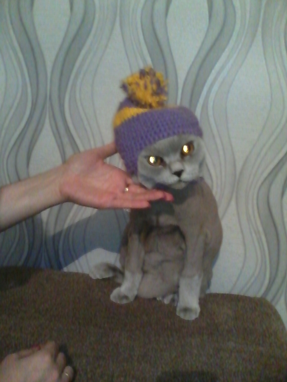 комплектик) первая моя работа)