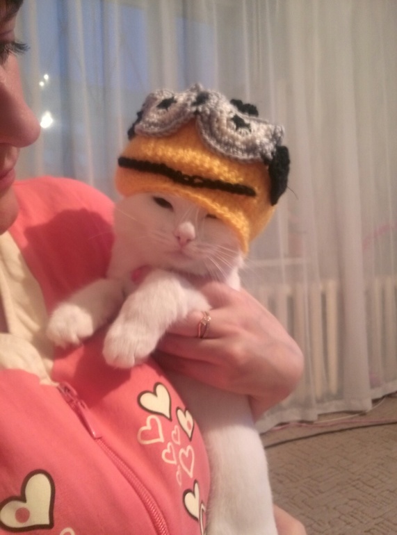 и снова шапочка приманка))