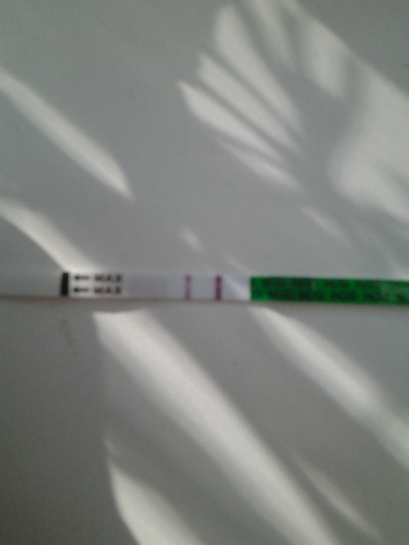 Примерно 5 ДЗ))))