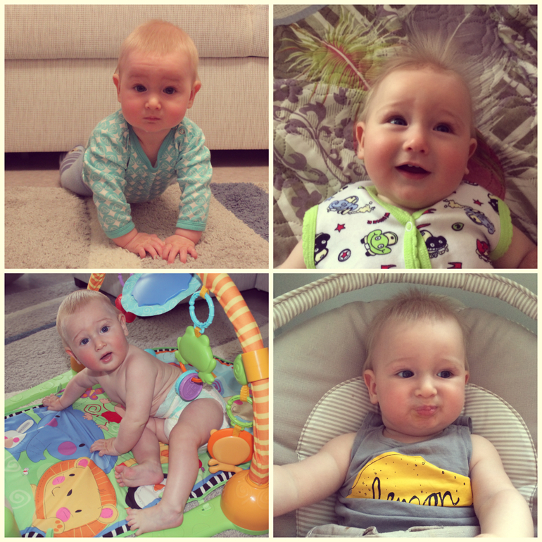 нашему Ярославчику 7 месяцев!