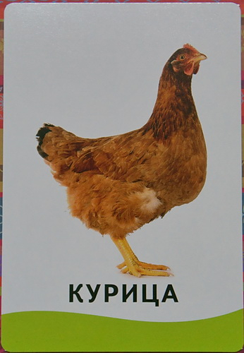 "Умные карточки" от издательства "Росмэн"