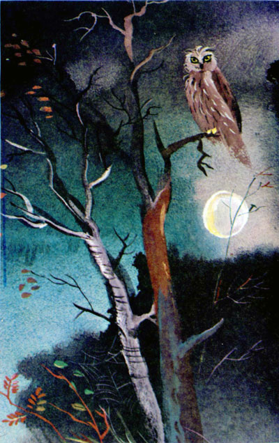 Мои неожиданные Трауготы. Длиннопост.