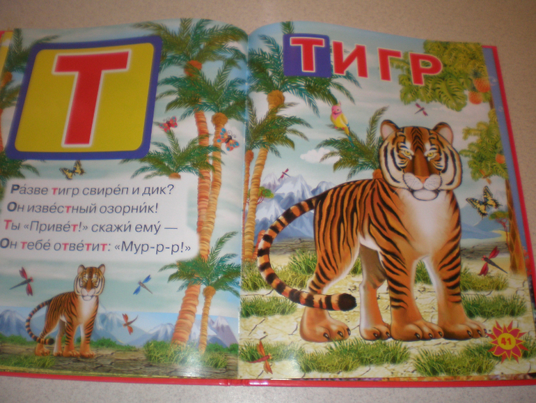 Наши книжечки 1 год и 1 месяц.