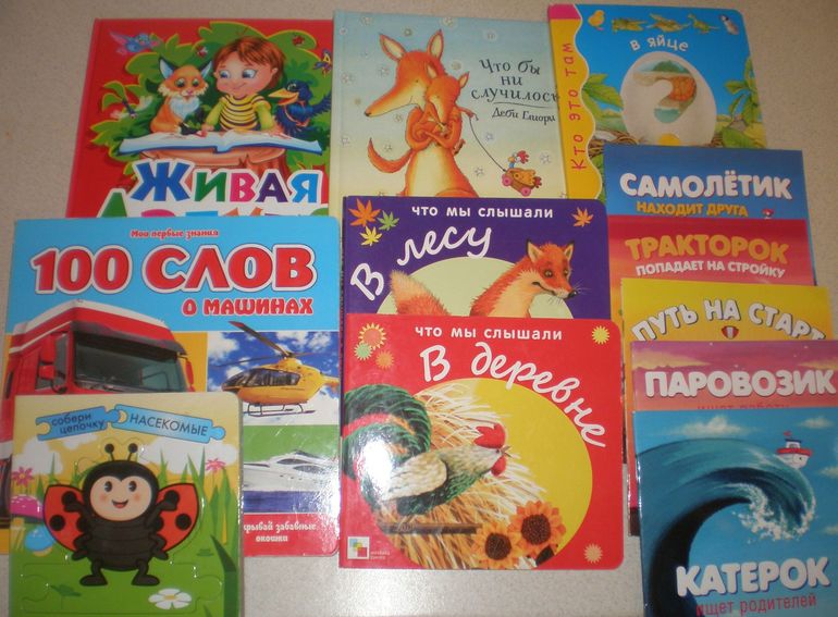 Наши книжечки 1 год и 1 месяц.