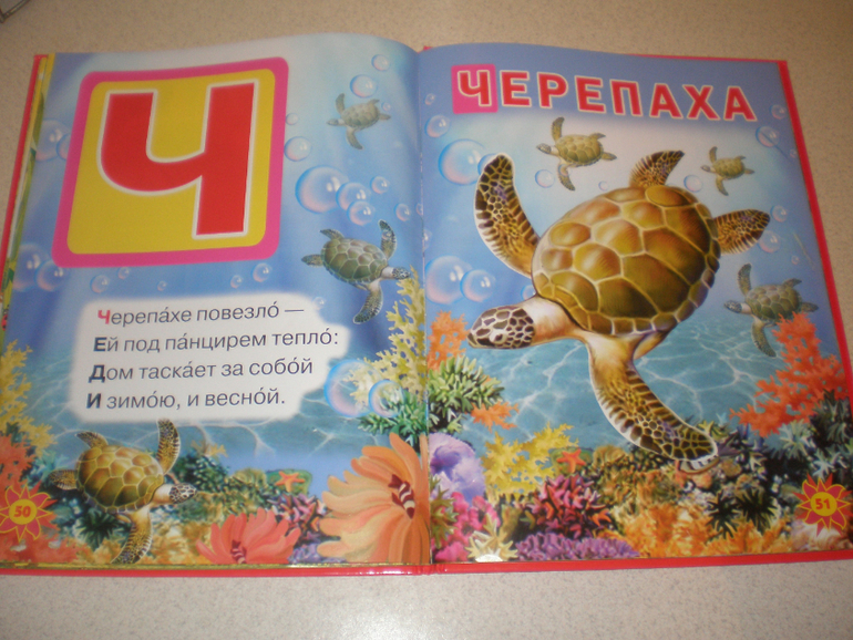 Наши книжечки 1 год и 1 месяц.