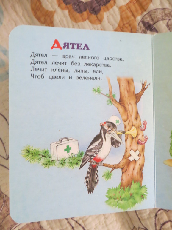 Наши лесные птички
