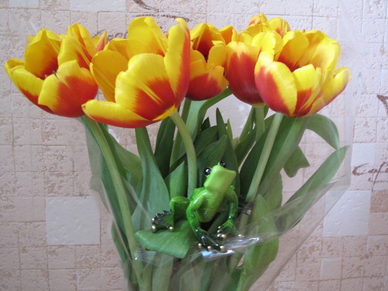 8 марта или вот и старость пришла.