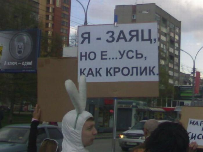 82dea6e3124c90fe0efd538e604c0b04.jpg