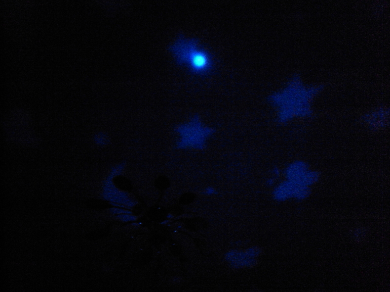 Отчет ТН "Космос". День 1. Звезды, созвездия, астрономы.