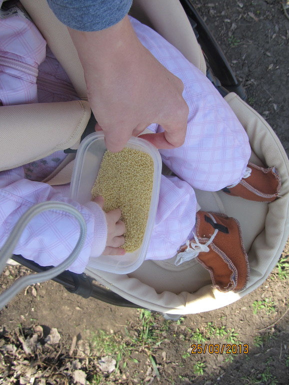 Весенняя прогулка