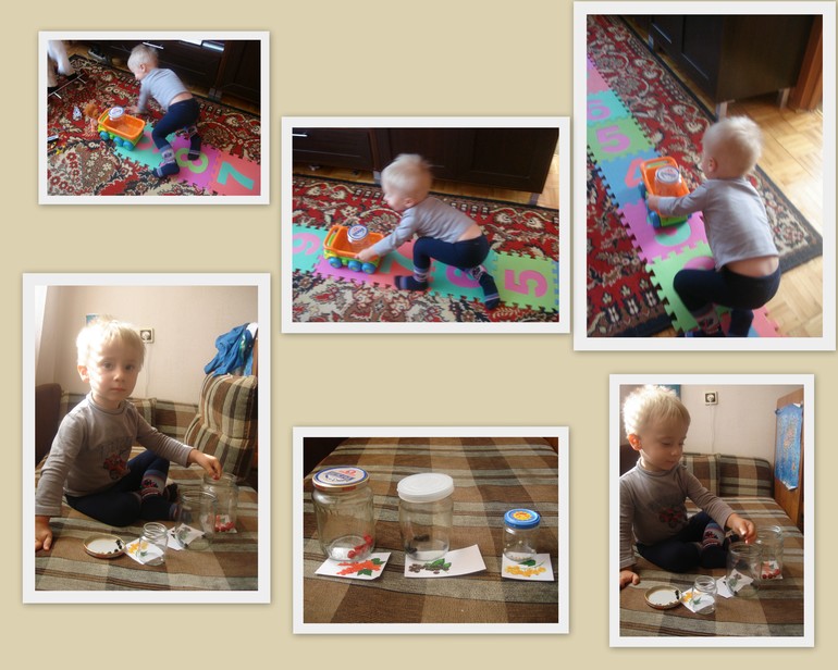 Отчет о ТН «Ягоды»