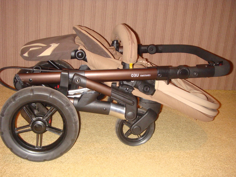 Concord Neo 2013 brown или дошли все же руки до написания обзора.