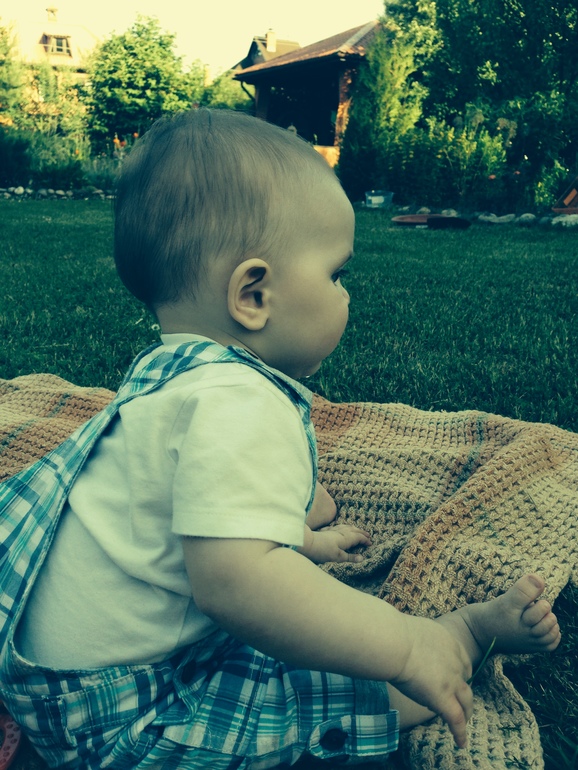 Удачные дачные деньки!