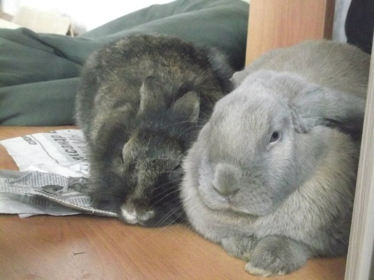 Мои любимые бутузики )))