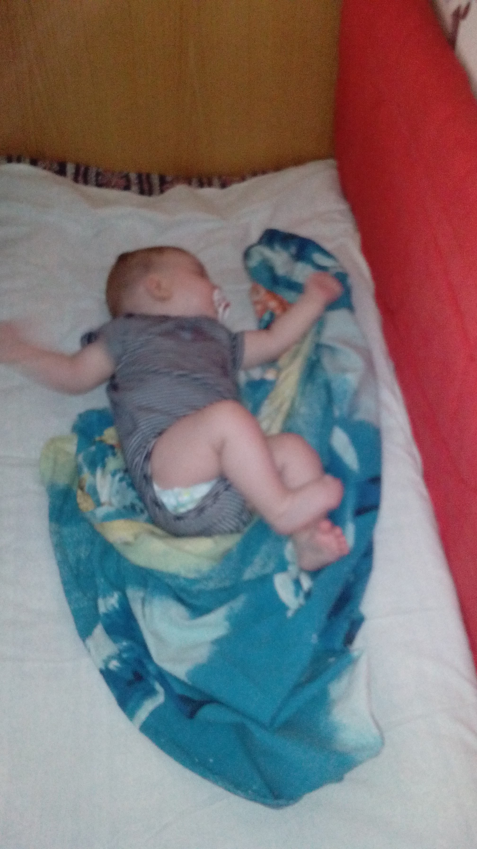 Вот мы и преодолели поездку в 1300 км.с пупсом ^^