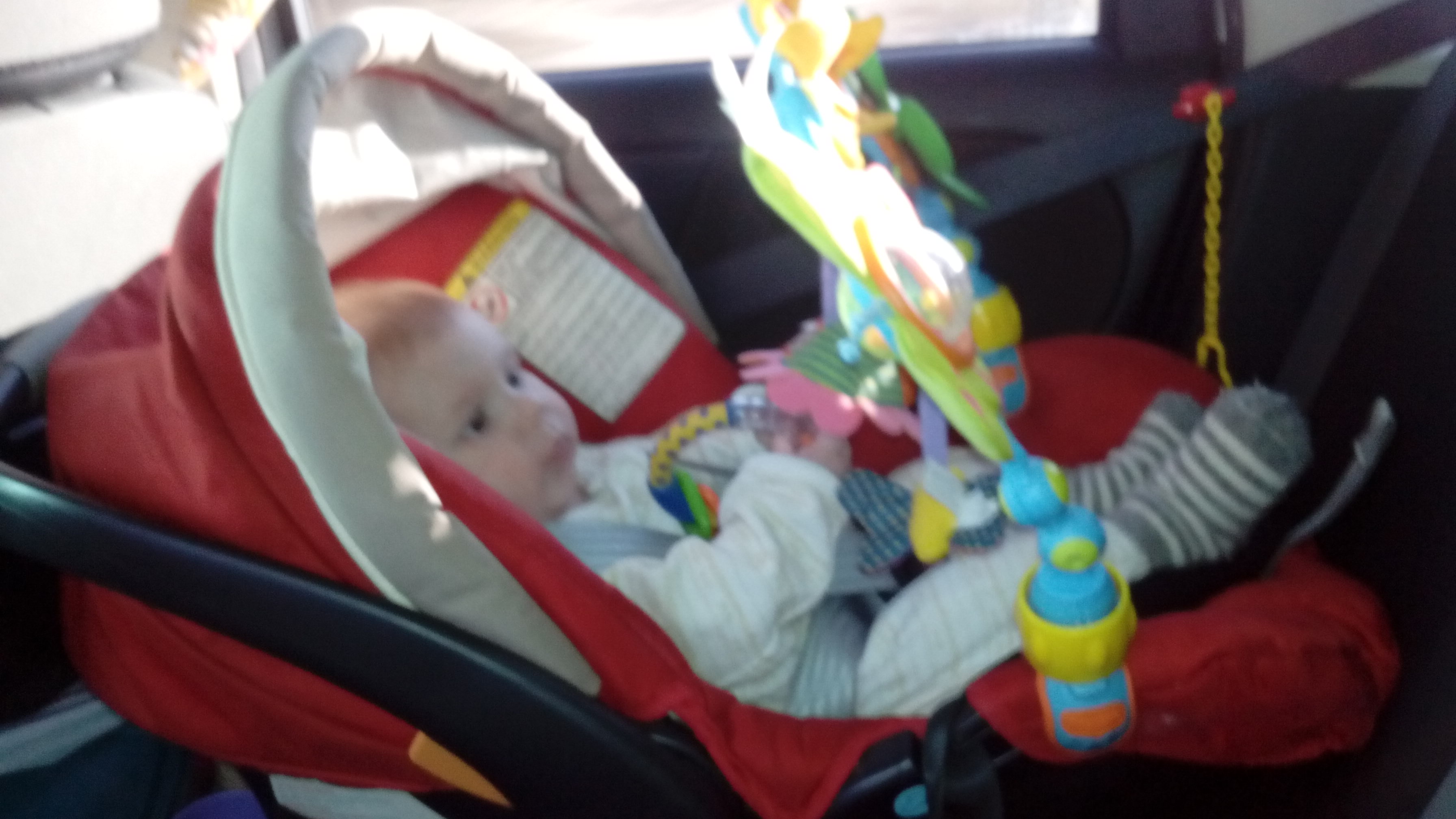 Вот мы и преодолели поездку в 1300 км.с пупсом ^^