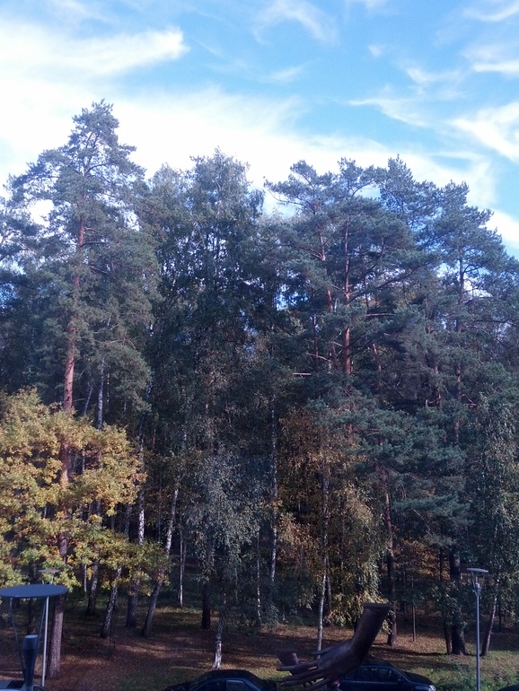 от 0 до 6... Поздравляю, доченька!!!