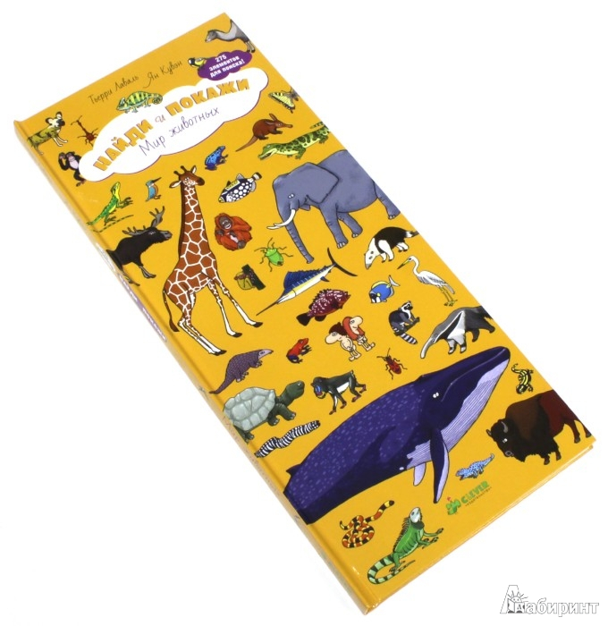 Наша африканская неделька