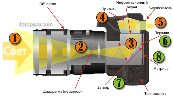 Вместо месячных коричневые выделения — возможные причины