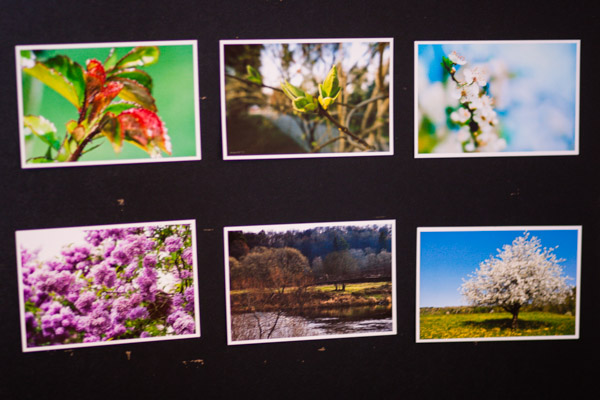 Весенний зимний день!