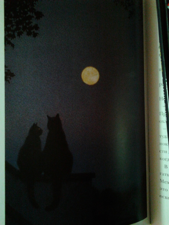 Показ полочек... и не только