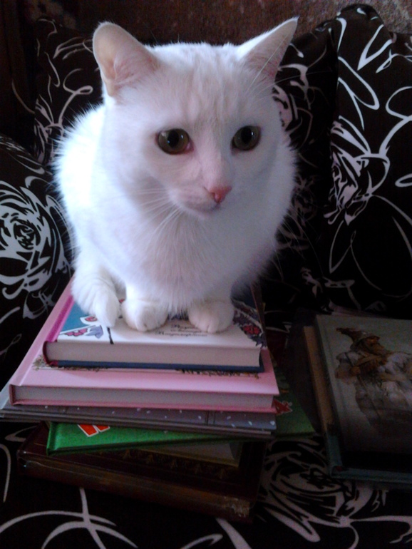 Новые книги