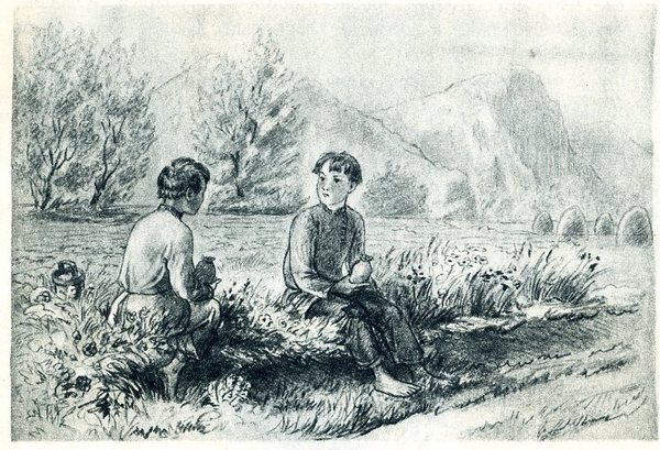 Немного прекрасных книг