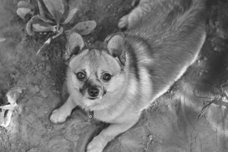 Контрольное задание № 19. Делаем черно-белое фото в Photoshop