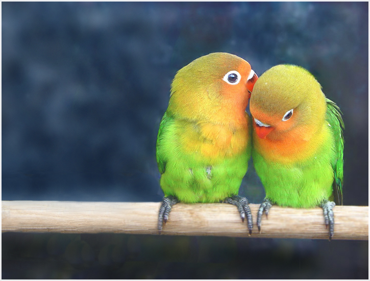 Контрольное задание № 13.