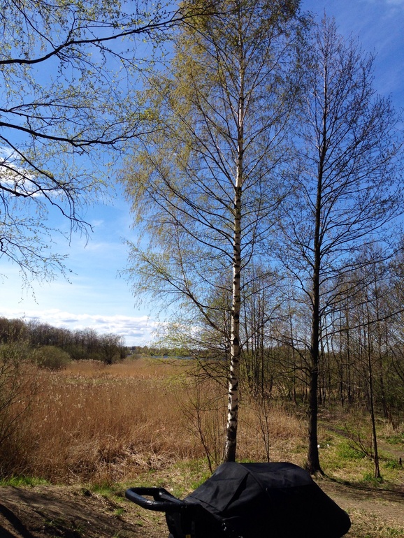 А мы с Артемкой любим гулять:)