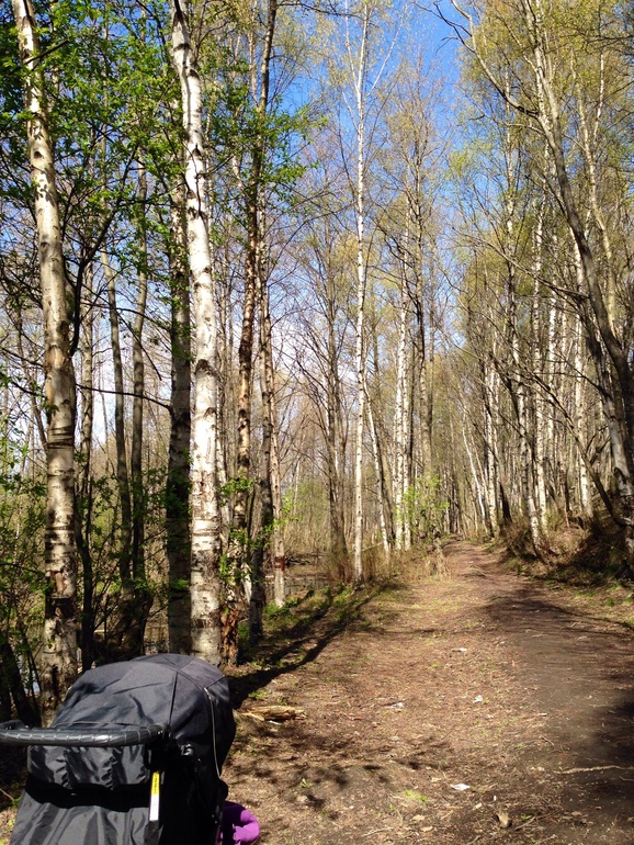 А мы с Артемкой любим гулять:)