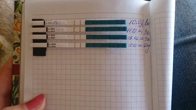 Динамика никакая