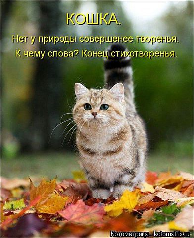 Так, для настроения))