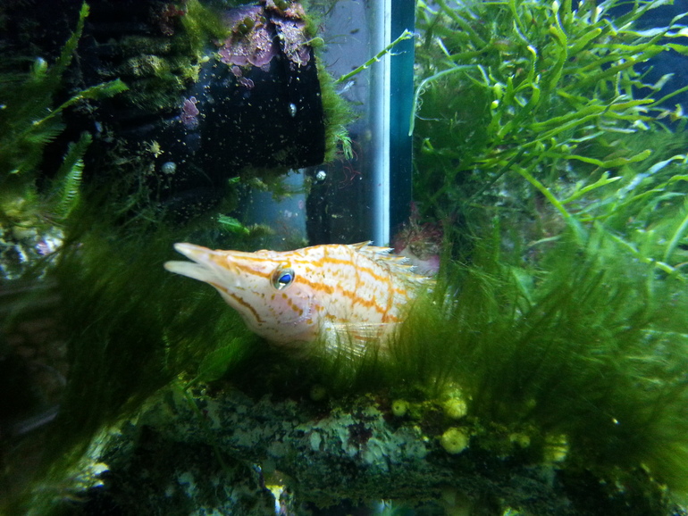 Прогулка по зоопарку)))