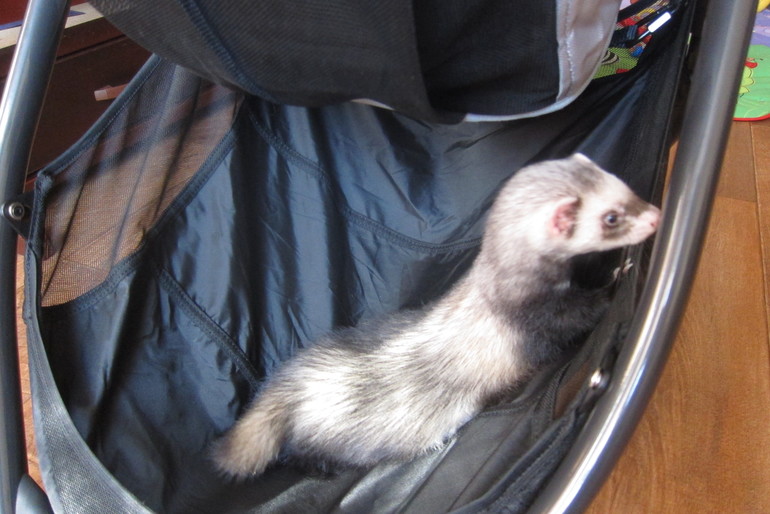 Наша BJ City Versa silver