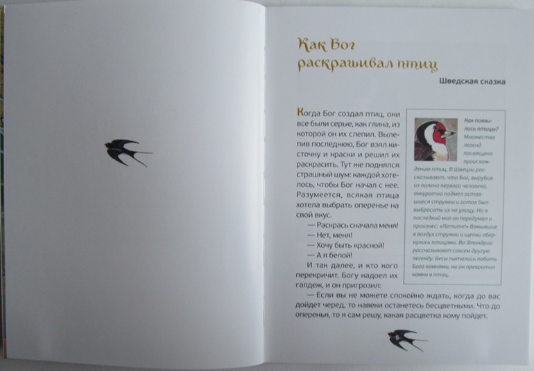 Сказки: кошачьи, птичьи, фруктовые!