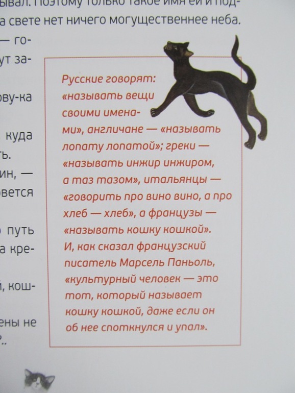 Сказки: кошачьи, птичьи, фруктовые!