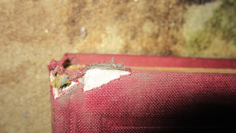 Большая подарочная книга а английском языке