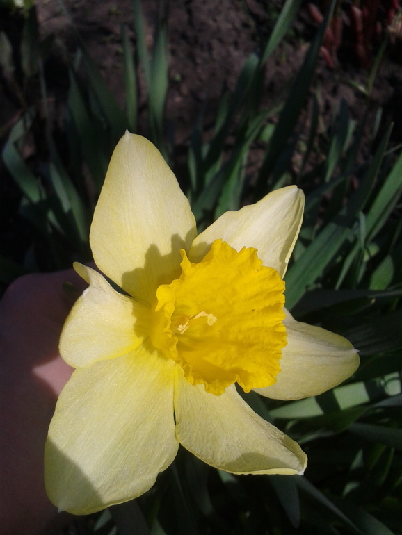 кусочек весеннего настроения) Ловите позитив!