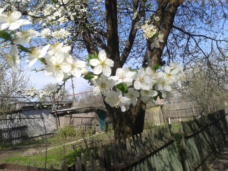 кусочек весеннего настроения) Ловите позитив!