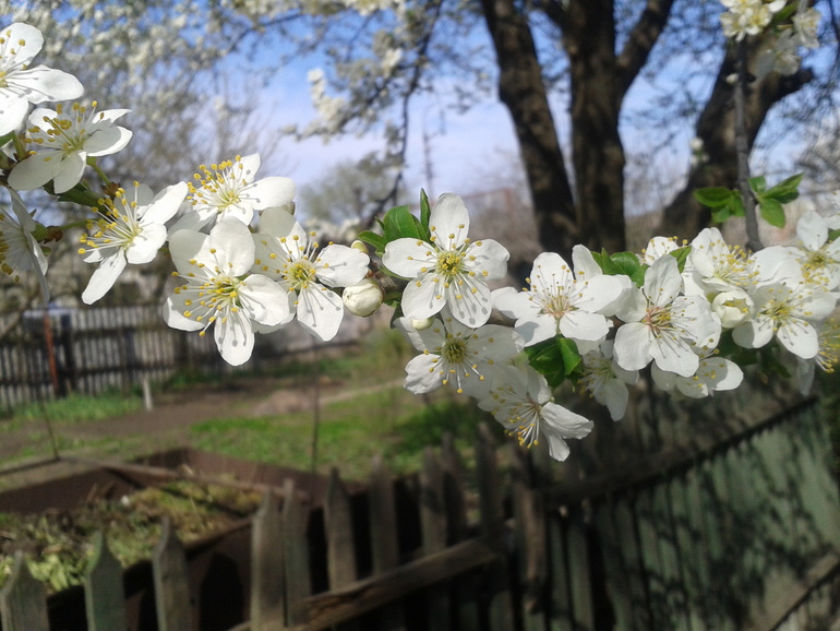кусочек весеннего настроения) Ловите позитив!