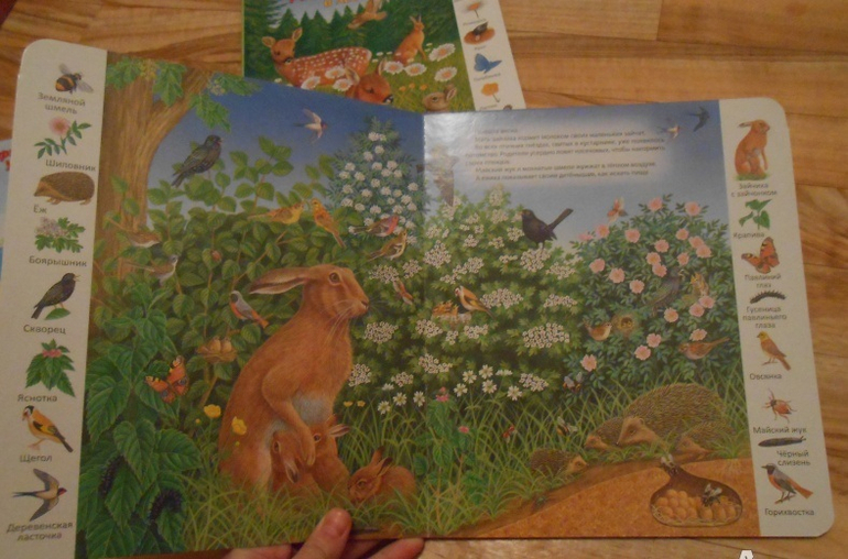 Отличная серия картонных книг для развития деток со скидкой))