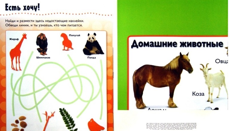 Интерактивные обучающие плакаты